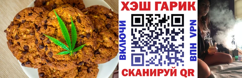 где можно купить   Злынка  МЕГА онион  Canna-Cookies марихуана 