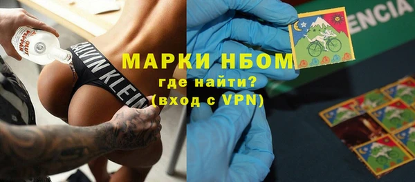 шишки Аша