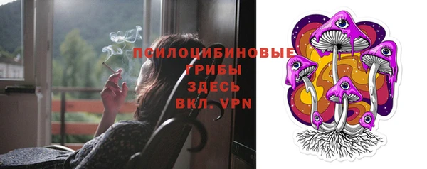 дурь Елабуга