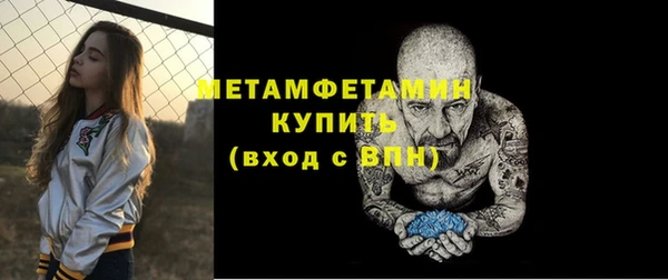 шишки Аша