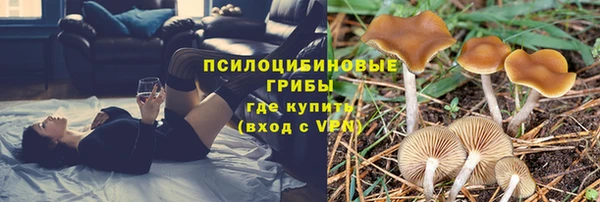 каннабис Ельня