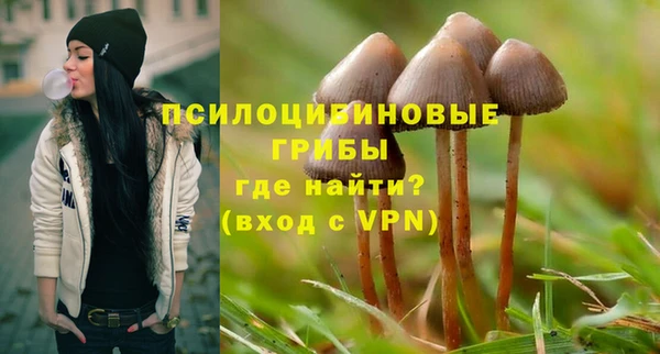 дурь Елабуга
