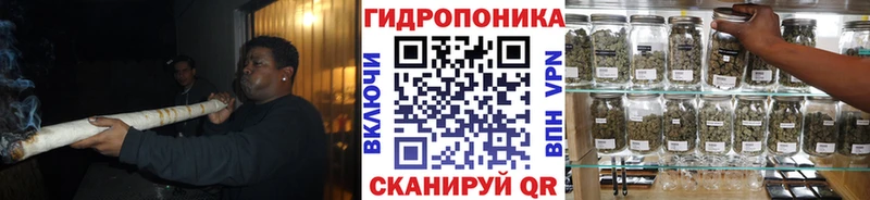 Бошки Шишки индика  Злынка 